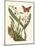 Butterfly and Botanical IV-Mark Catesby-Mounted Art Print