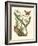 Butterfly and Botanical IV-Mark Catesby-Framed Art Print