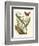 Butterfly and Botanical IV-Mark Catesby-Framed Art Print