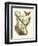 Butterfly and Botanical IV-Mark Catesby-Framed Art Print