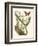 Butterfly and Botanical IV-Mark Catesby-Framed Premium Giclee Print
