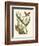 Butterfly and Botanical IV-Mark Catesby-Framed Premium Giclee Print