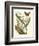 Butterfly and Botanical IV-Mark Catesby-Framed Premium Giclee Print