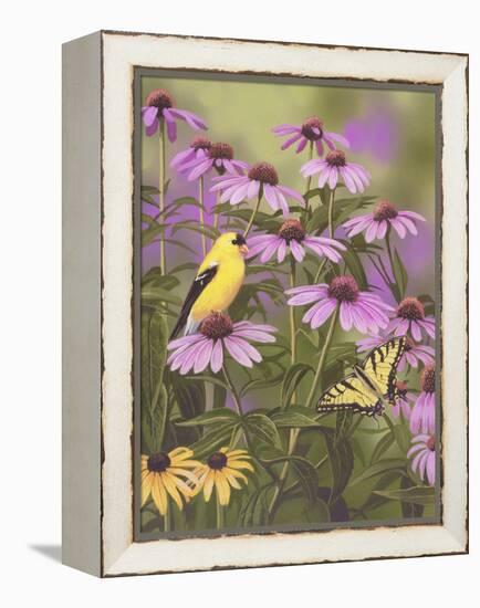 Butterfly and Finch Amongst Flowers-William Vanderdasson-Framed Premier Image Canvas