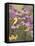 Butterfly and Finch Amongst Flowers-William Vanderdasson-Framed Premier Image Canvas