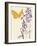 Butterfly and Flowers-Karen Williams-Framed Giclee Print