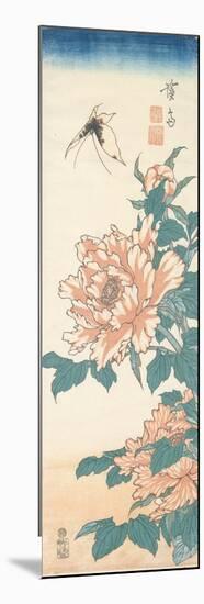Butterfly and Tree Paeony-Keisai Eisen-Mounted Giclee Print