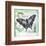 Butterfly Artifact Green-Alan Hopfensperger-Framed Art Print