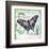 Butterfly Artifact Green-Alan Hopfensperger-Framed Art Print