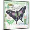 Butterfly Artifact Green-Alan Hopfensperger-Mounted Art Print