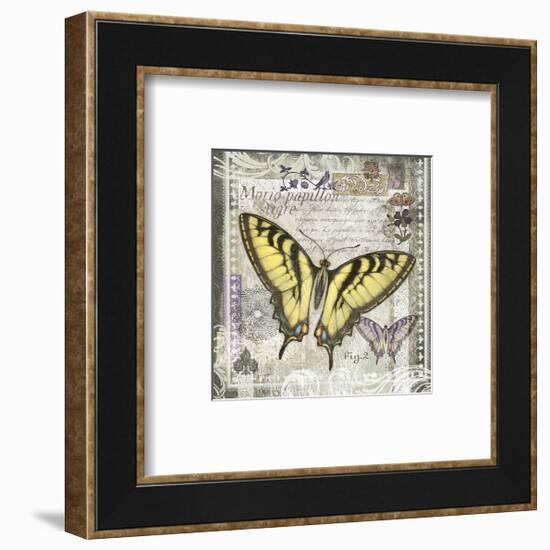 Butterfly Artifact II-Alan Hopfensperger-Framed Art Print