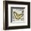 Butterfly Artifact II-Alan Hopfensperger-Framed Art Print