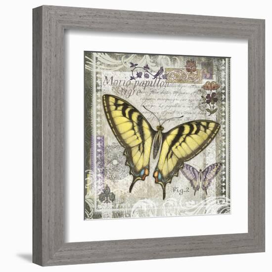 Butterfly Artifact II-Alan Hopfensperger-Framed Art Print