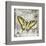 Butterfly Artifact II-Alan Hopfensperger-Framed Art Print