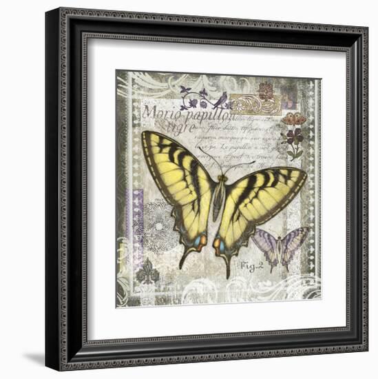 Butterfly Artifact II-Alan Hopfensperger-Framed Art Print