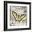 Butterfly Artifact II-Alan Hopfensperger-Framed Art Print