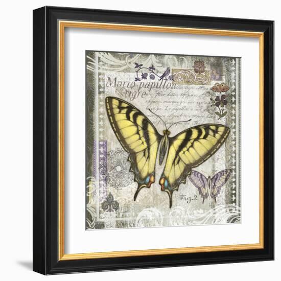 Butterfly Artifact II-Alan Hopfensperger-Framed Art Print