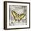 Butterfly Artifact II-Alan Hopfensperger-Framed Art Print