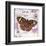 Butterfly Artifact Lilac-Alan Hopfensperger-Framed Art Print