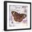 Butterfly Artifact Lilac-Alan Hopfensperger-Framed Art Print