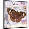 Butterfly Artifact Lilac-Alan Hopfensperger-Mounted Art Print