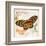 Butterfly Artifact Pink-Alan Hopfensperger-Framed Art Print