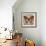 Butterfly Beauty 2-Melissa Pluch-Framed Art Print displayed on a wall