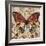 Butterfly Beauty 2-Melissa Pluch-Framed Art Print