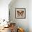 Butterfly Beauty 2-Melissa Pluch-Framed Art Print displayed on a wall