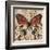 Butterfly Beauty 2-Melissa Pluch-Framed Art Print