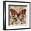 Butterfly Beauty 2-Melissa Pluch-Framed Art Print