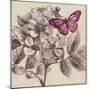 Butterfly Beauty-Bella Dos Santos-Mounted Art Print