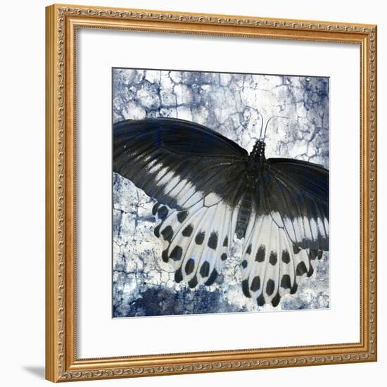 Butterfly Blues 2-Kimberly Allen-Framed Art Print