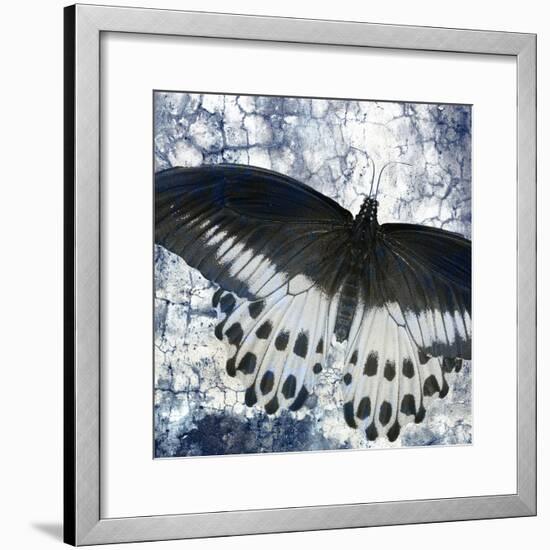 Butterfly Blues 2-Kimberly Allen-Framed Art Print