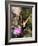 Butterfly Bokeh II-Kathy Mansfield-Framed Photographic Print