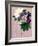 Butterfly Botanical Industrial Collage-Piddix-Framed Art Print