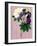 Butterfly Botanical Industrial Collage-Piddix-Framed Art Print