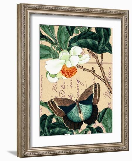 Butterfly Botanical Japanese Flower Collage-Piddix-Framed Art Print