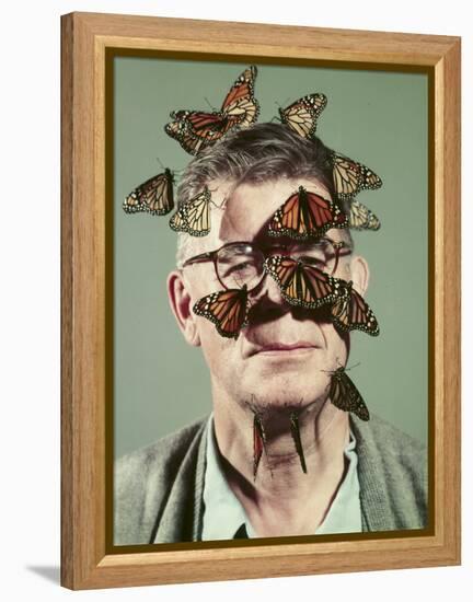 Butterfly Breeder Carl Anderson with Monarch Butterflies on His Face-John Dominis-Framed Premier Image Canvas