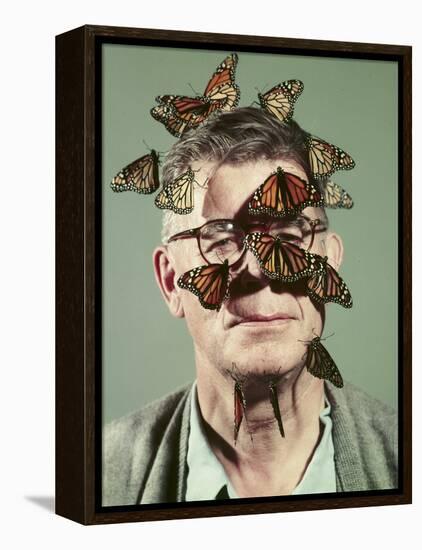 Butterfly Breeder Carl Anderson with Monarch Butterflies on His Face-John Dominis-Framed Premier Image Canvas