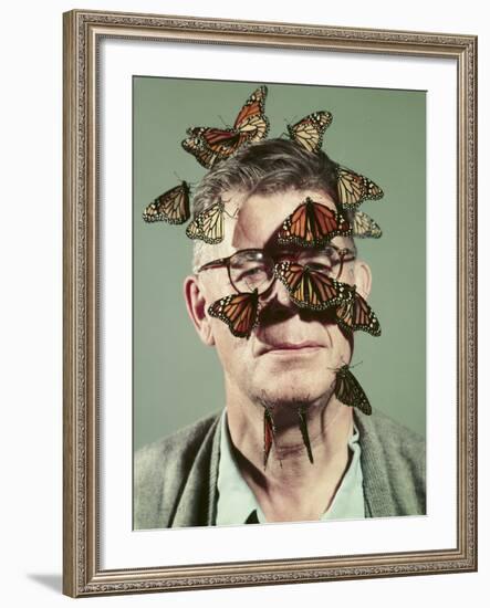 Butterfly Breeder Carl Anderson with Monarch Butterflies on His Face-John Dominis-Framed Photographic Print