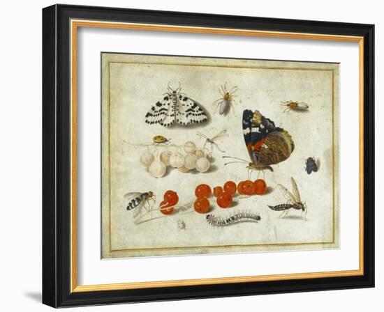 Butterfly, Caterpillar, Moth, Insects and Currants, c.1650-65-Jan Van, The Elder Kessel-Framed Giclee Print