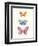 Butterfly Charts III-Courtney Prahl-Framed Art Print