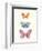 Butterfly Charts III-Courtney Prahl-Framed Art Print