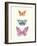 Butterfly Charts III-Courtney Prahl-Framed Art Print