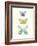 Butterfly Charts IV-Courtney Prahl-Framed Art Print