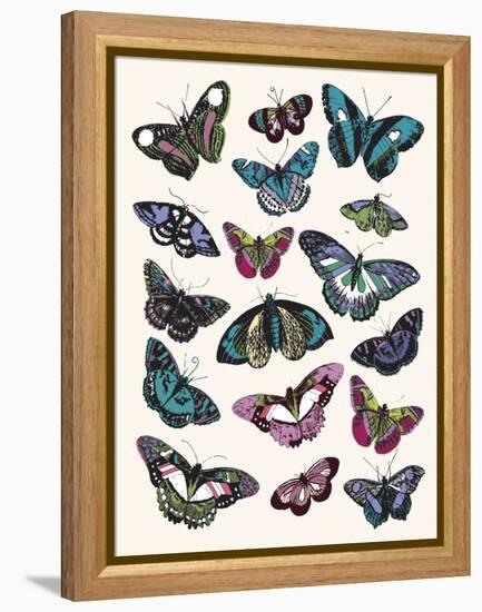 Butterfly Cloud-Clara Wells-Framed Stretched Canvas