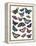 Butterfly Cloud-Clara Wells-Framed Stretched Canvas