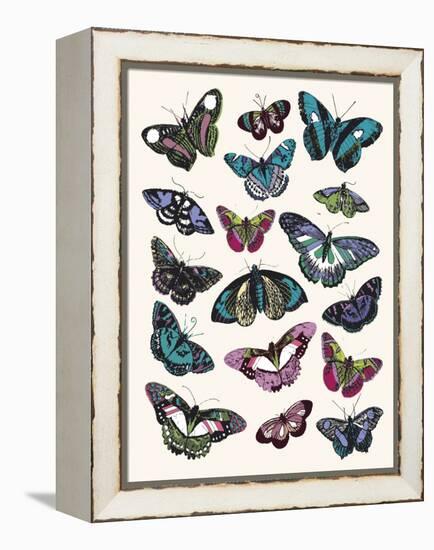 Butterfly Cloud-Clara Wells-Framed Stretched Canvas