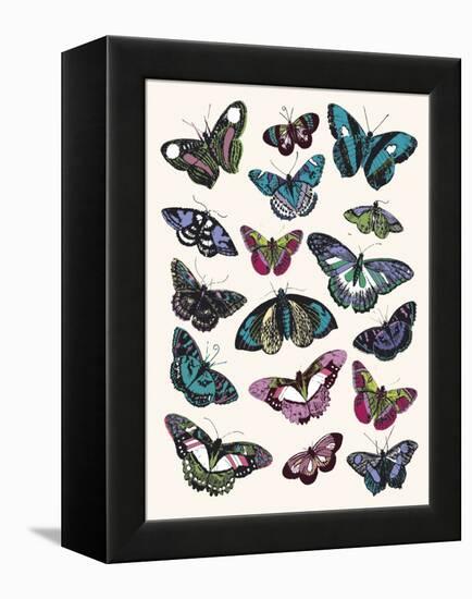 Butterfly Cloud-Clara Wells-Framed Stretched Canvas